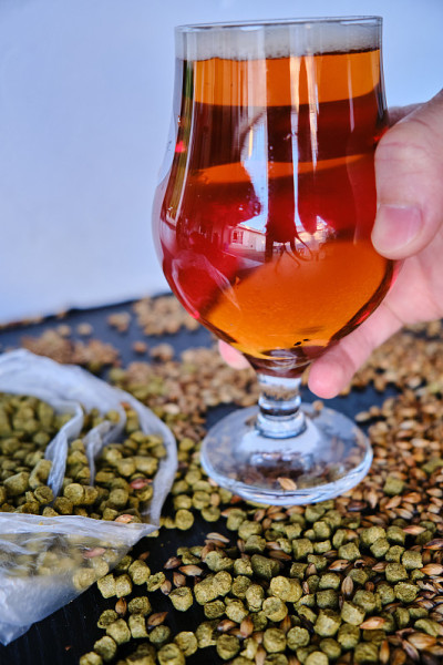 啤酒及其成分