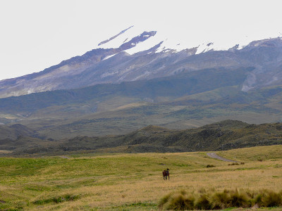 厄瓜多尔安提萨纳火山安提萨纳生态保护区