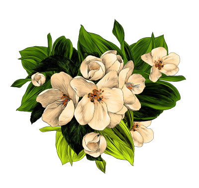 苹果的枝和花的插花