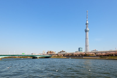 东京天空树