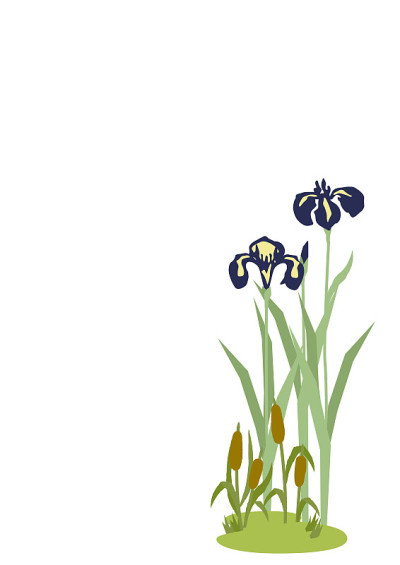 日本初夏景观插图。鸢尾花插图。日本风格的花夹艺术。日式花卉景观。时令花卉的形象。