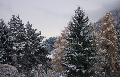 秋天的雪
