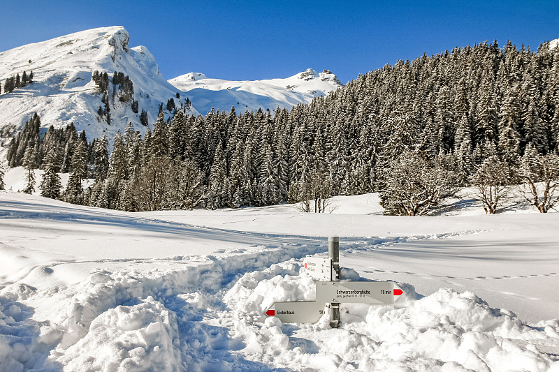 在阳光明媚的冬日里，在深雪中竖立着的徒步旅行路标。Allgau,巴伐利亚,德国。