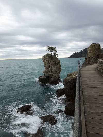 冬天在波托菲诺旅行