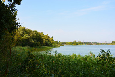 美丽的萨马拉河风景如画的陡峭的河岸和海岸，树木，绿色植物和丰富的天空。明亮而令人难忘的自然，舍普琴科