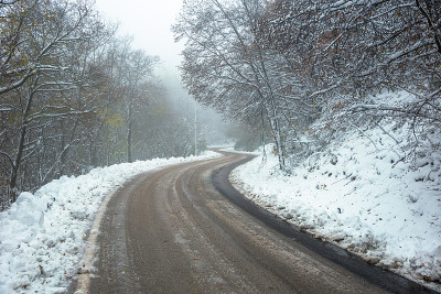 在一个多雾的冬日，白雪覆盖着蜿蜒的森林道路