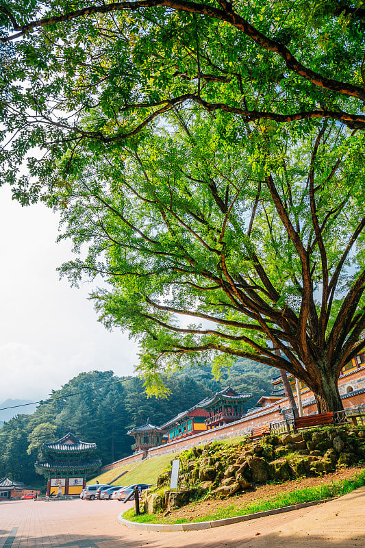 古龙沙寺，位于韩国原州恰克山国家公园