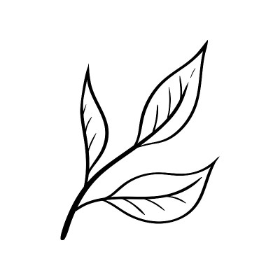 茶叶图标在简单的素描风格。独立的茶业、咖啡馆或包装标识