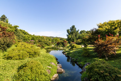 “龙谷”景观，位于安杜泽竹林(法国奥西塔尼)塞文山中心的亚洲花园