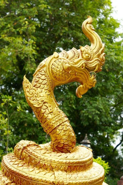 龙