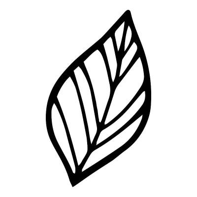 Natural plant leaf icon, hand drawn style