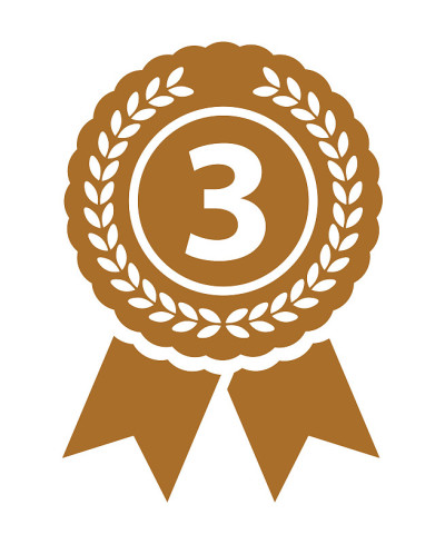 Third place medal