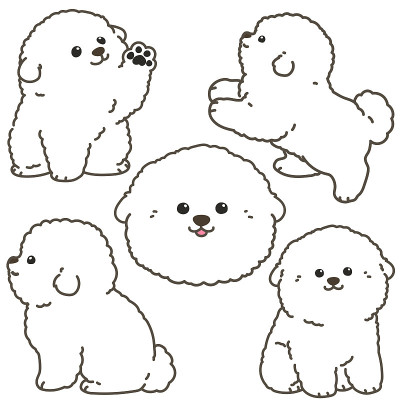 概述白色比熊卷插图集