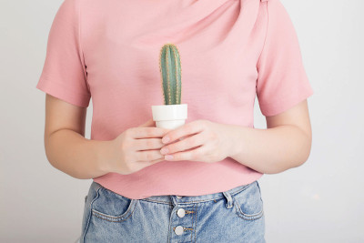 女孩抱着一颗仙人掌在肚子后面。缝合腹痛概念。胃炎和胃溃疡，神经性腹痛。