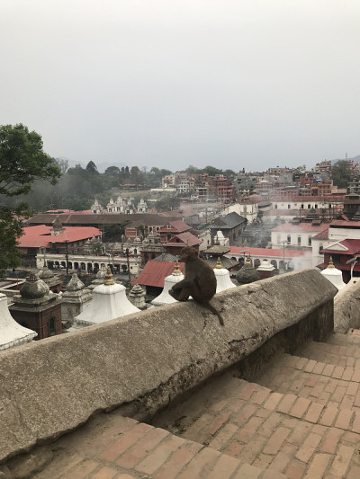 Pashupatinath寺庙，加德满都，尼泊尔