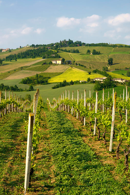 Emilia-Romagna, Pianello Val Tidone附近的乡村景观