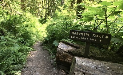Marymere falls / Barnes creek trail - sign