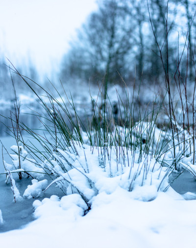 地上有雪