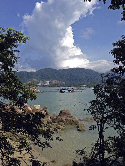 岛的观点