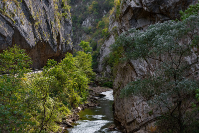 美丽，狭窄的杰尔马河峡谷，高悬崖，和岩石，周围的绿色植被，岩石隘口峡谷在塞尔维亚。