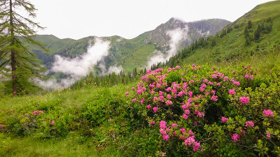 奥地利阿尔卑斯山夏季徒步旅行