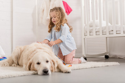可爱的卷发小孩假装兽医和检查金毛猎犬在儿童房
