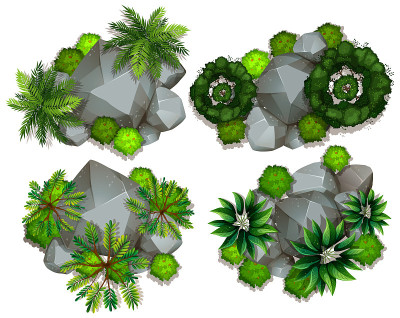 Aerial view of plants and rocks