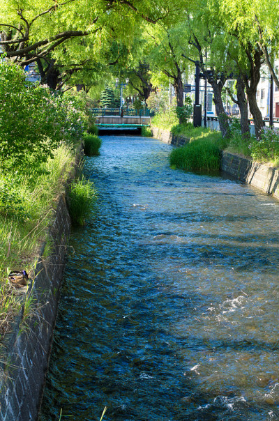 素生河风光