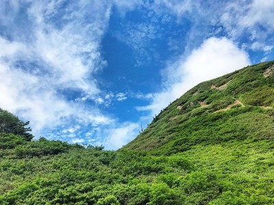 哈奇曼泰