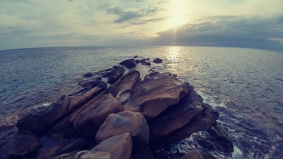 萨罗兹·科尔费齐