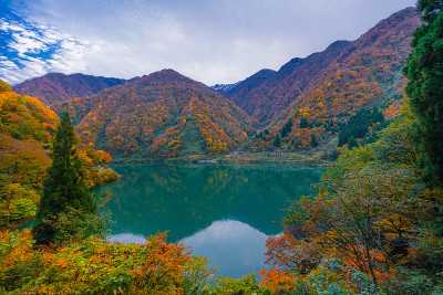 秋谷的风景