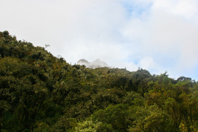 山峰后面有一座野生森林山。
