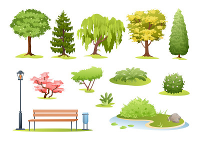 森林和公园树木矢量插图。卡通夏季各种绿色落叶和常青树，灌木花丛，蕨类和公园或花园的木凳，景观收集孤立