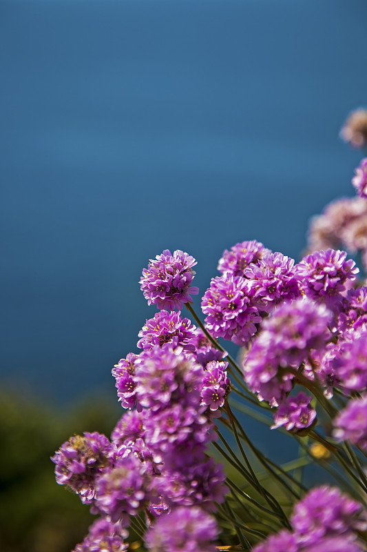 海节俭