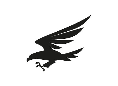 白底上的鹰符号或标志插图。