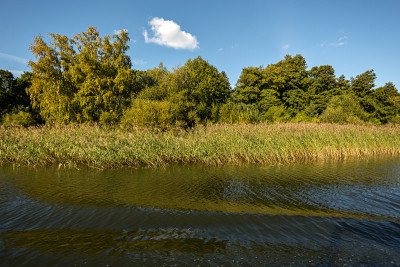 运河在Djurgarden
