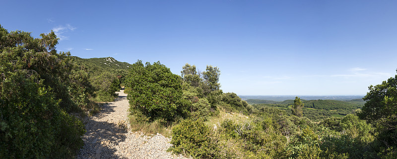 徒步旅行到Pic Saint Loup的顶峰，法国城市蒙彼利埃的标志性山，法国
