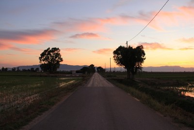 日落路