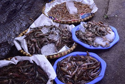 虾摊位