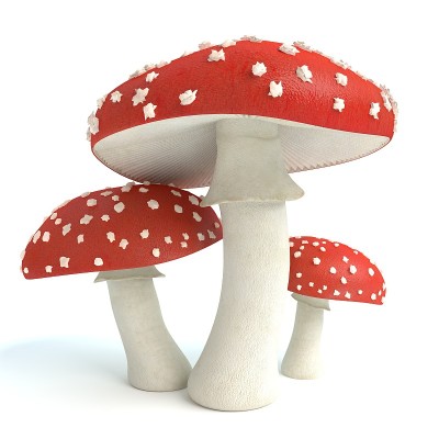 毒Mushrooms