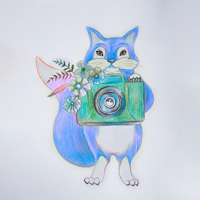 狐狸素描与绿色相机在白色的背景。