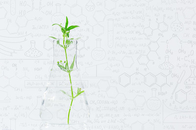 用琼脂培养基在试管中克隆装饰性微型植物。试管快繁技术，以手绘科学公式为背景