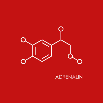 肾上腺素molecula结构。红色背景上孤立的白线图标。
