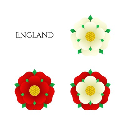图朵玫瑰的英国矢量插图。