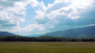 山影Vista (5)