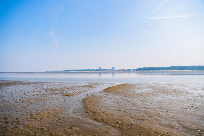 北海的瓦登海，海滩和酒店的背景在萨伦堡，库克斯黑文