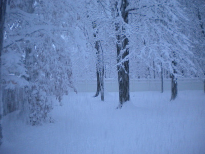 暴雪