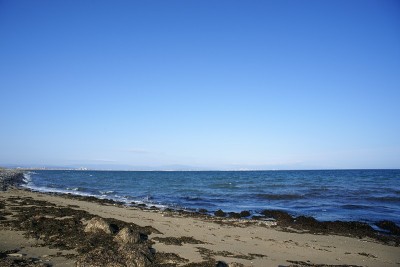 福井村海
