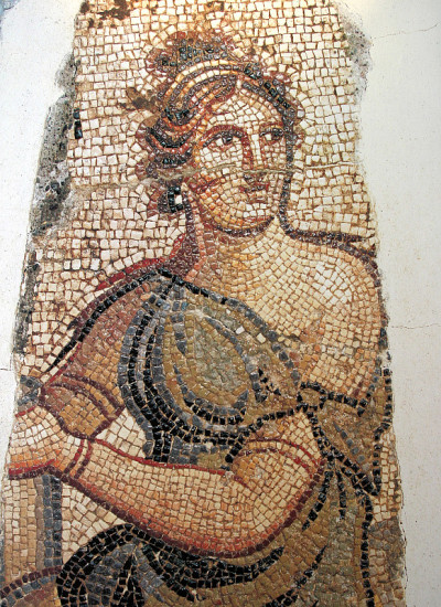 Zeugma Mosaic