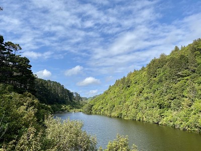 新西兰的风景